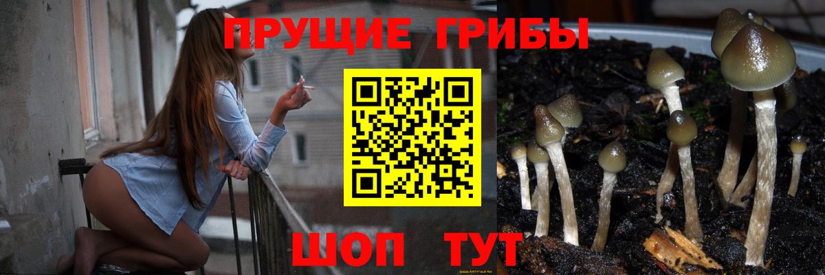 Галлюциногенные грибы мухоморы  Вход с VPN  Псилоцибиновые грибы мицелий  Петрозаводск 