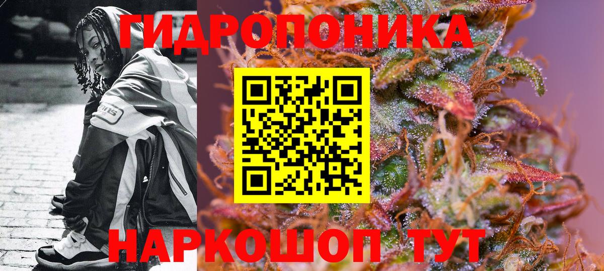 МАРИХУАНА ГИДРОПОН  Канабис OG Kush  Каннабис семена  Петрозаводск  Вход с VPN  Бошки Шишки марихуана 
